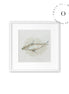 Watercolor I Seal Cuadro