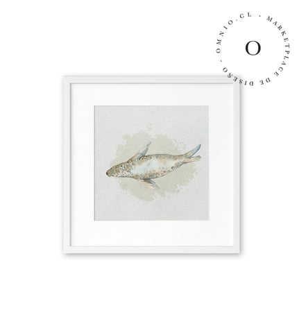 Watercolor I Seal Cuadro