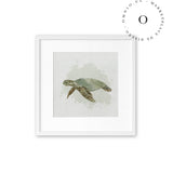 Watercolor I Turtle Cuadro
