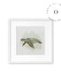 Watercolor I Turtle Cuadro