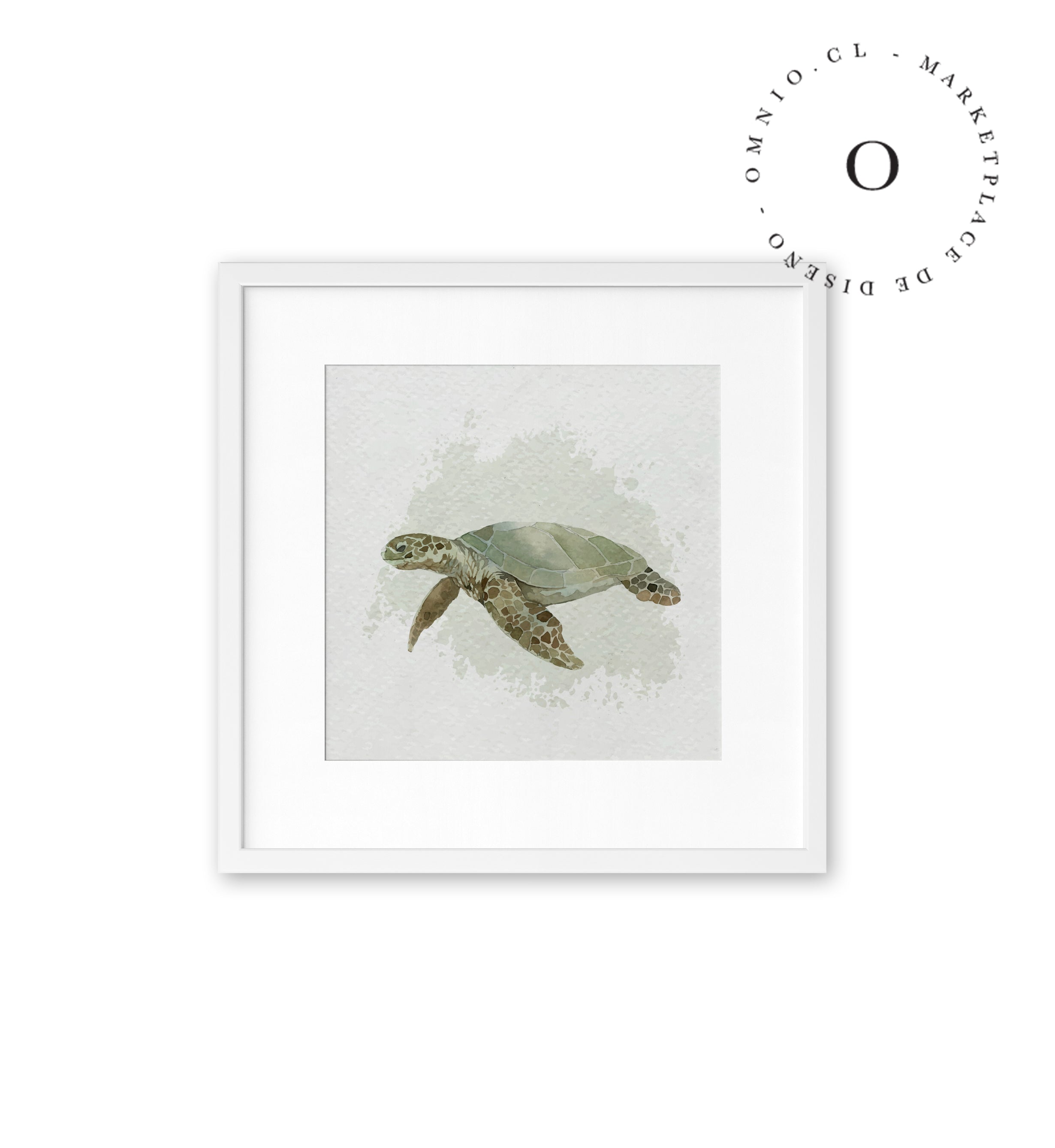 Watercolor I Turtle Cuadro