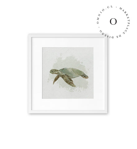 Watercolor I Turtle Cuadro