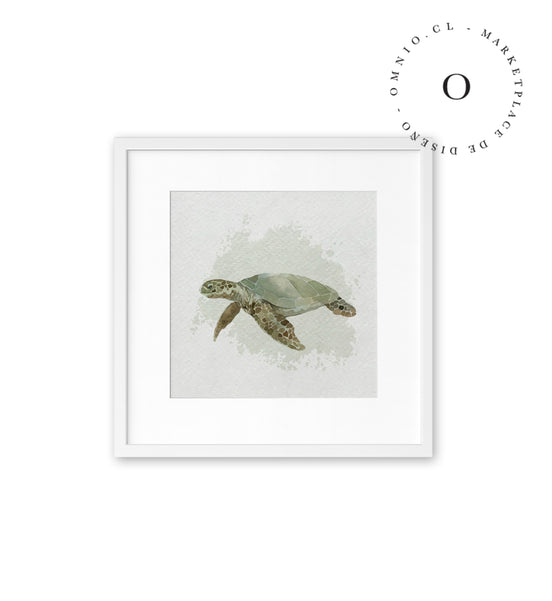 Watercolor I Turtle Cuadro