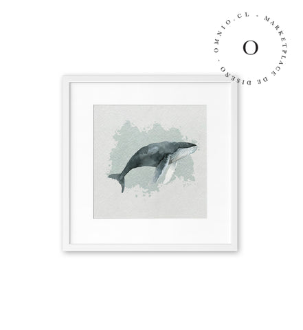 Watercolor I Whale Cuadro