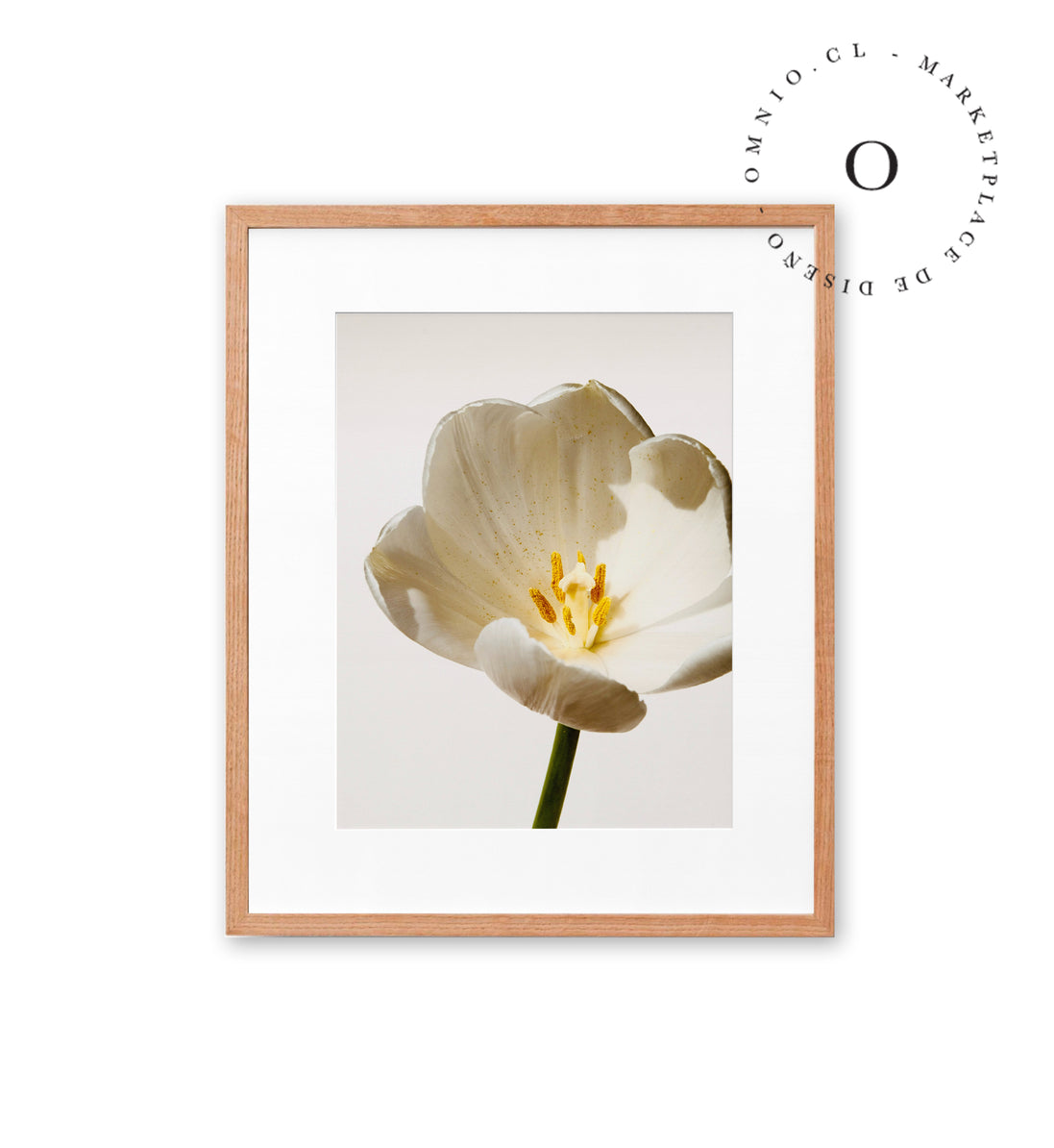White Blossom Cuadro