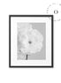 White Flower Cuadro