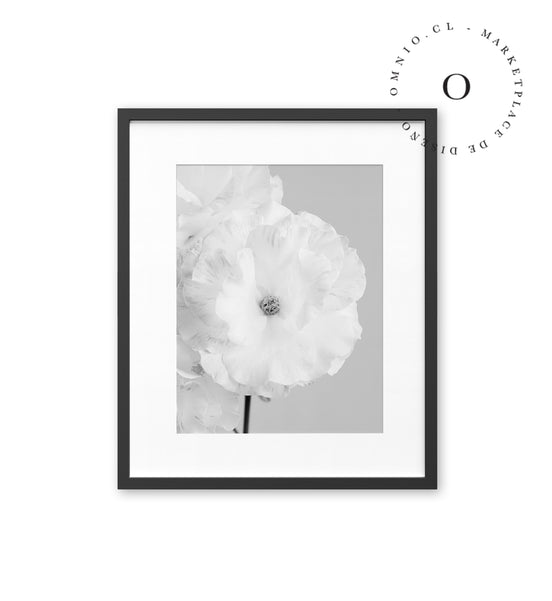 White Flower Cuadro