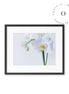 White Orchid Cuadro