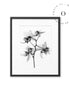 X Ray Flower Cuadro