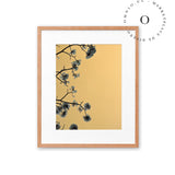 Yellow Cotton Cuadro