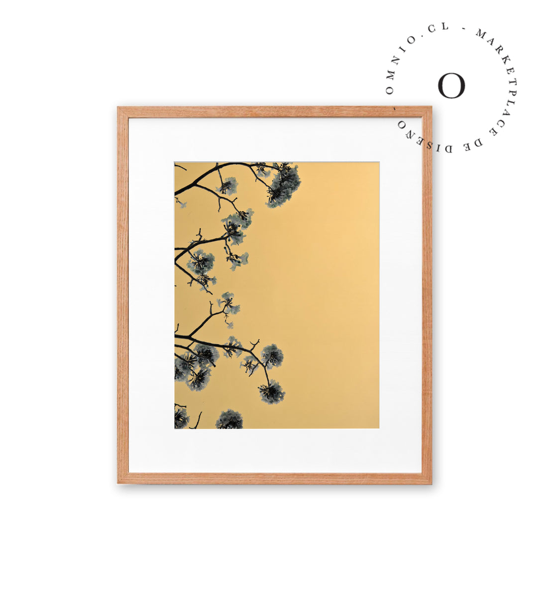 Yellow Cotton Cuadro