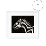 Zebra III Cuadro