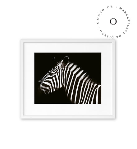 Zebra III Cuadro