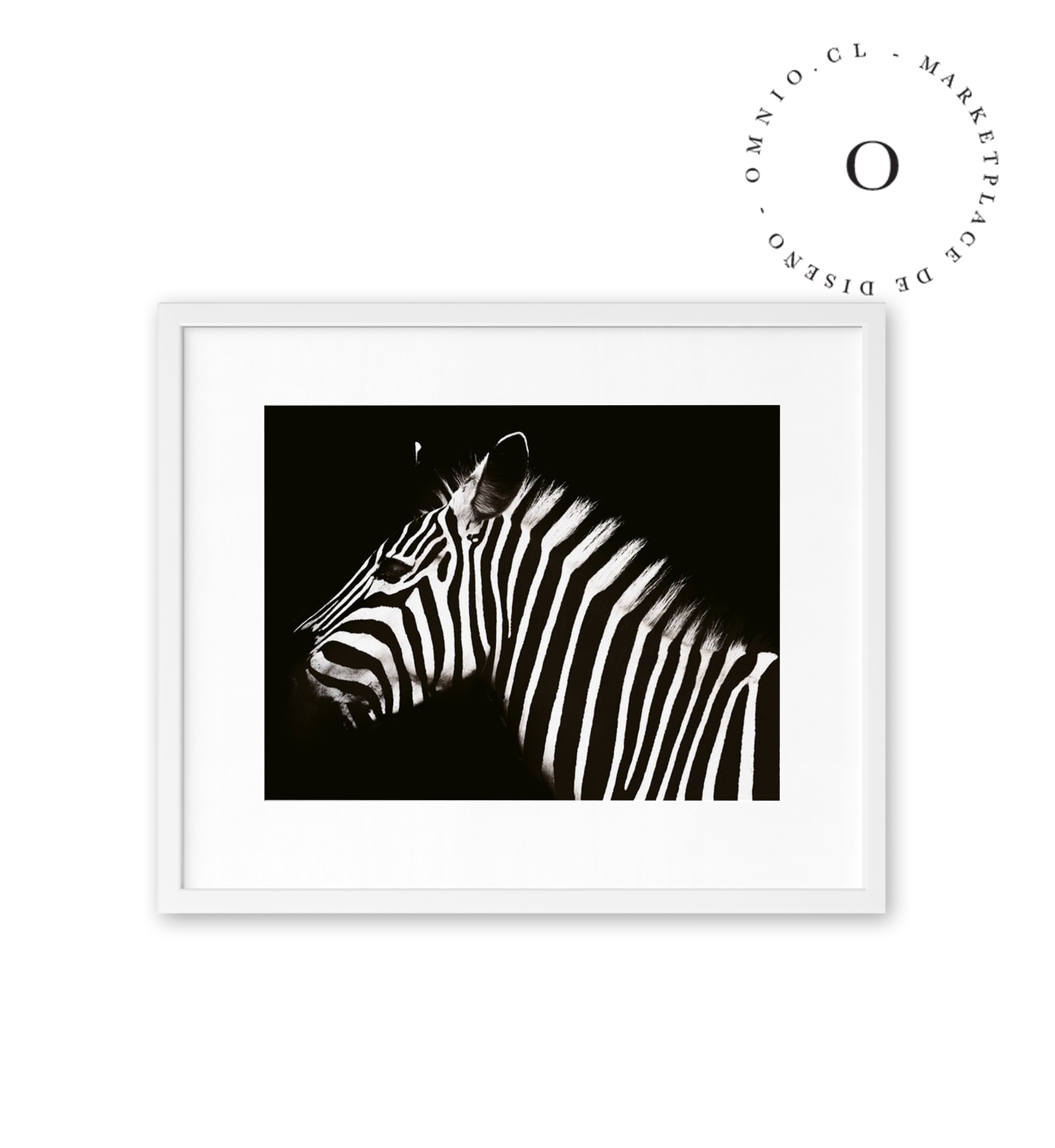 Zebra Iii Cuadro Blanco Con Passepartout Cuadrado 35cm X 35cm