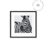 Zebra I Cuadro
