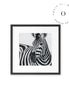 Zebra I Cuadro