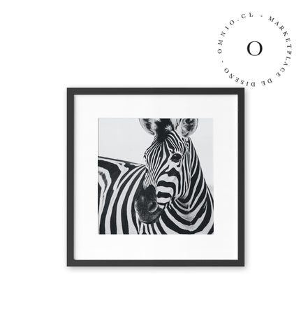 Zebra I Cuadro