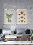 Papel Mural y Vinilico Autoadhesivo para muros de la marca The Wall, diseño de tendencia Alfabet