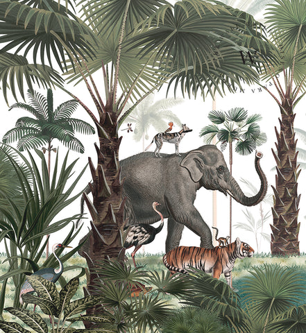 Animal Kingdom