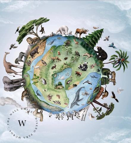 Animals Of Earth