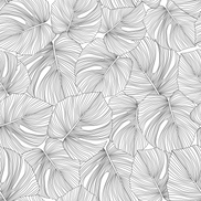 Papel Mural y Vinilico Autoadhesivo para muros de la marca The Wall, diseño de tendencia Black Moustera