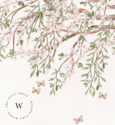 Blooming Blossom