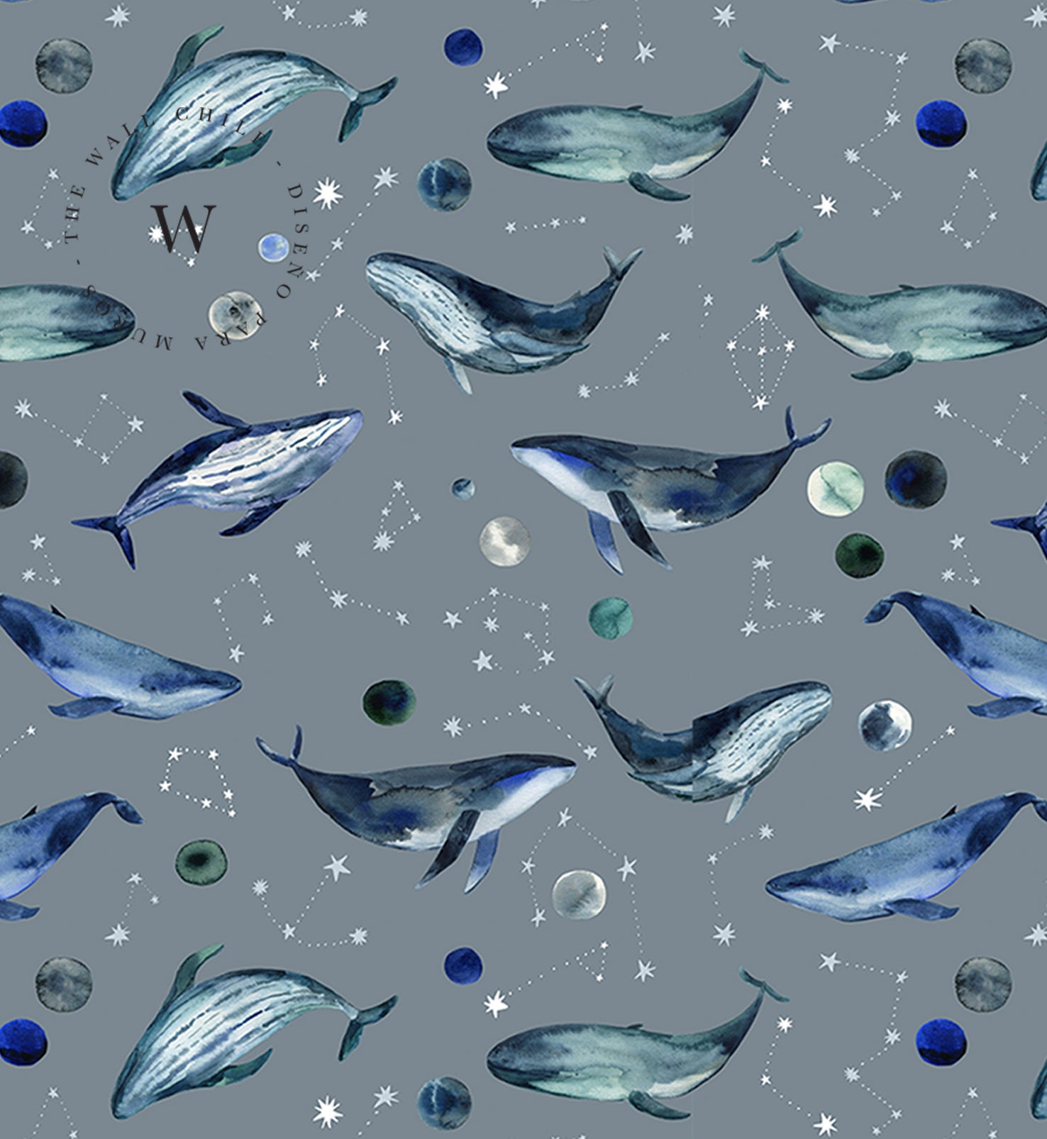 Blue Whales