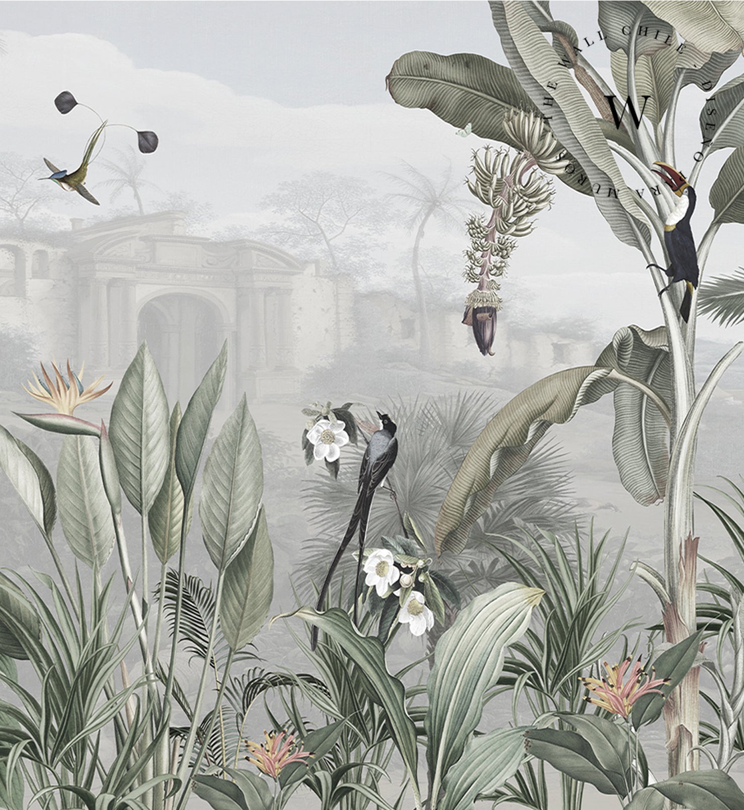 Botanical Beauty - Panorama