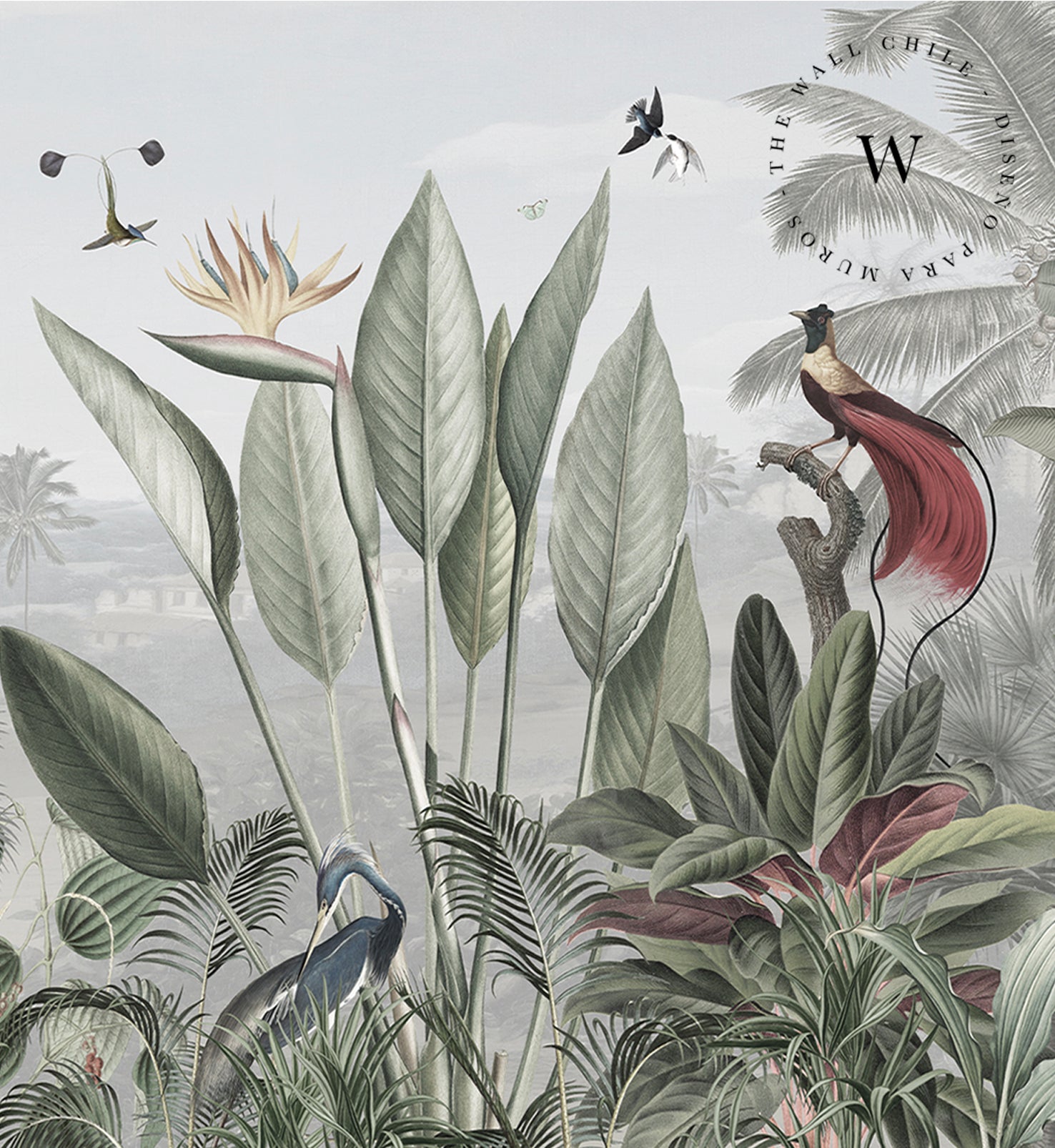 Botanical Beauty - Panorama