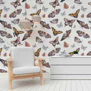 Butterfly Colors