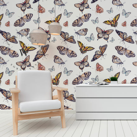 Butterfly Colors