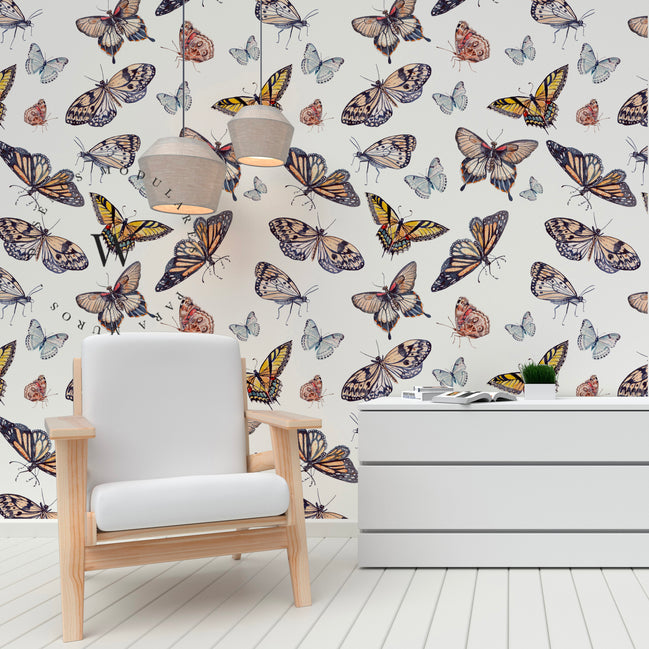 Butterfly Colors