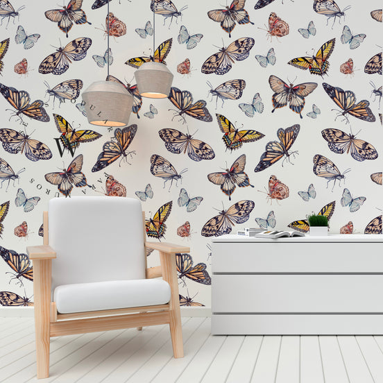 Butterfly Colors