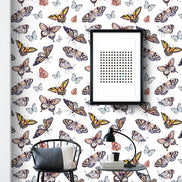 Butterfly Colors
