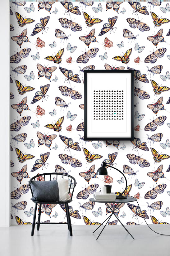 Butterfly Colors