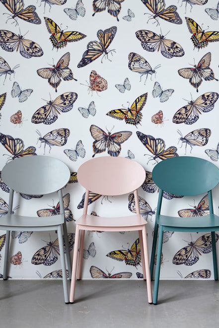 Butterfly Colors