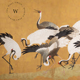 Crane Birds