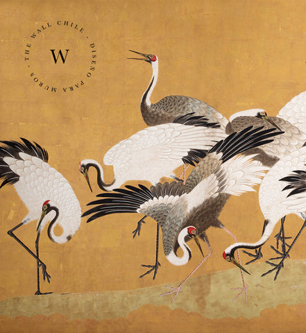 Crane Birds