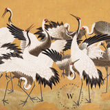 Crane Birds
