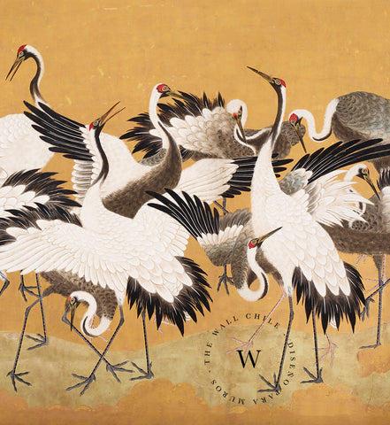 Crane Birds