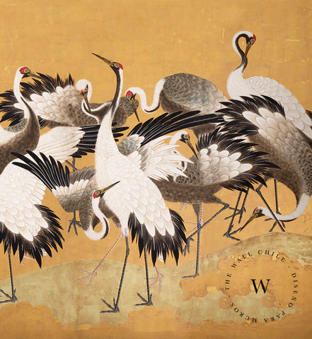 Crane Birds