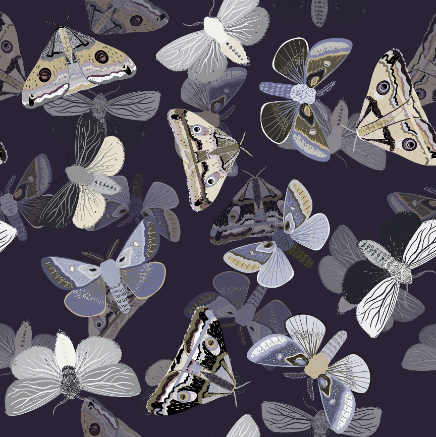 Dark Butterfly