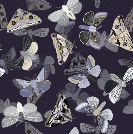 Dark Butterfly