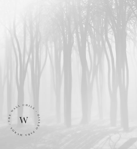 Deep Forest