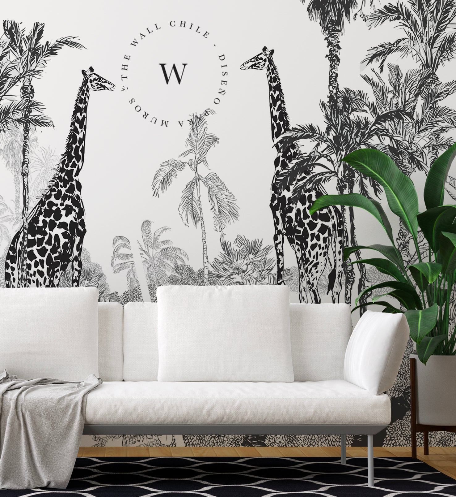 Draw Safari