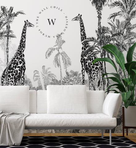 Draw Safari
