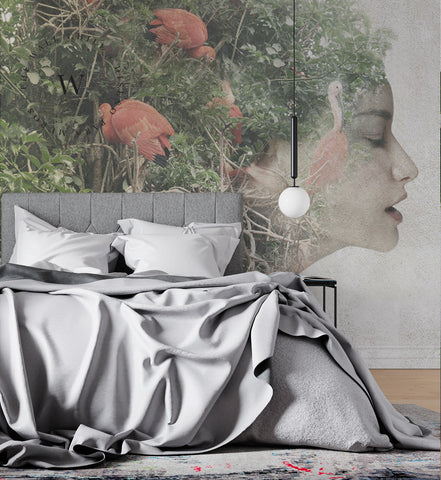 Dreams