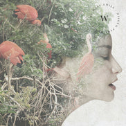 Dreams