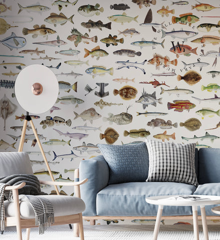 Fish