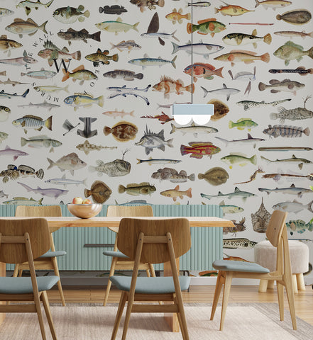 Fish
